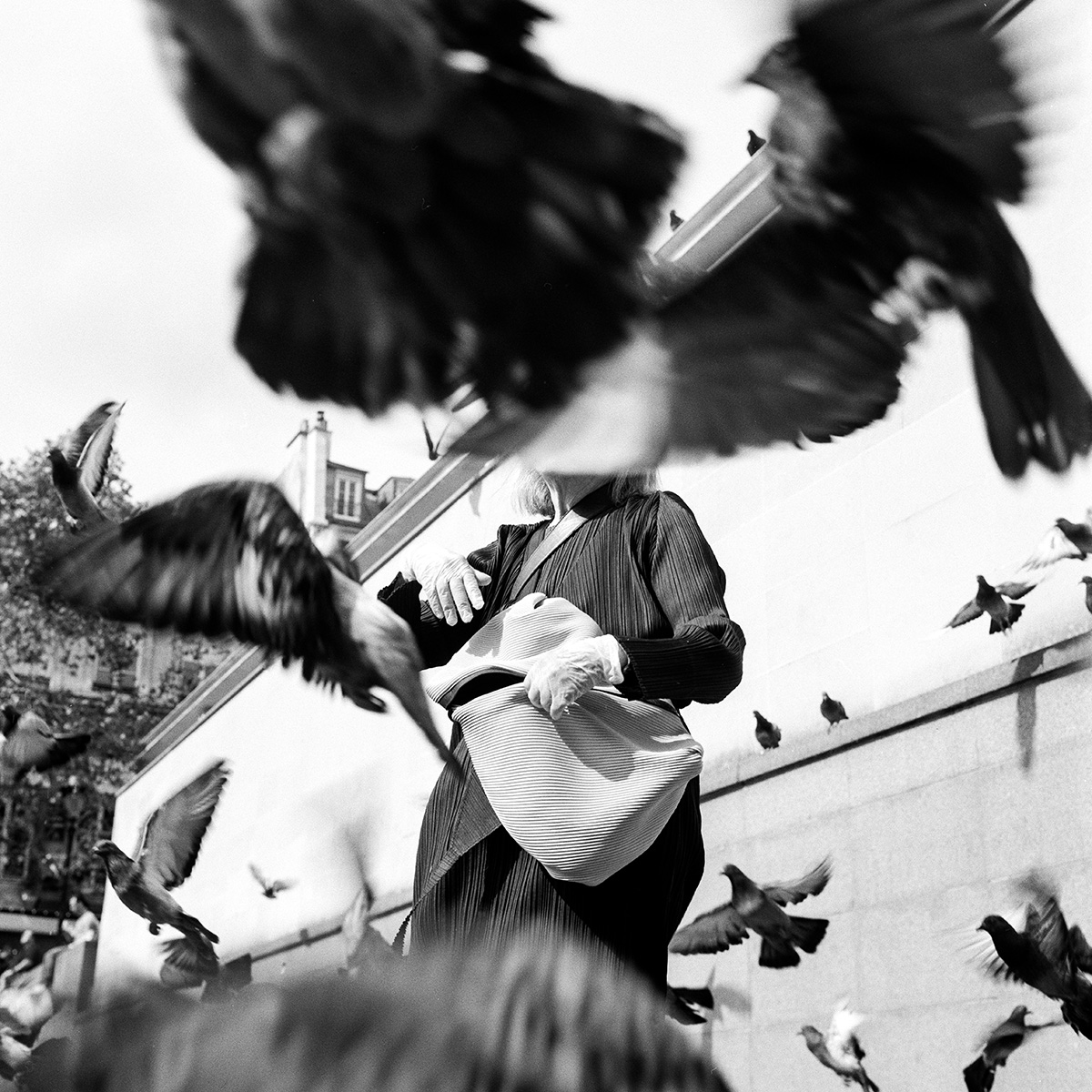 Exposition Paris, d'Alexandre MARTIN, photographe