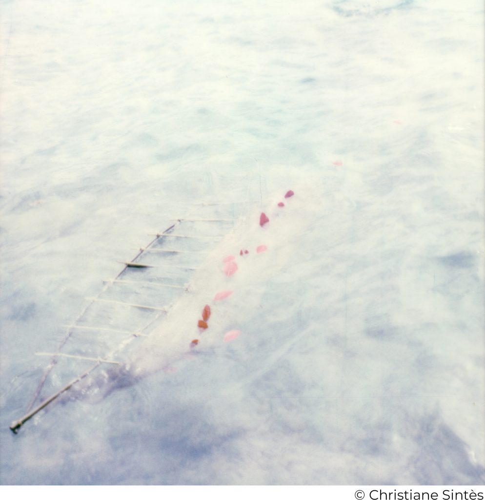 Photographie de Christiane Sintès pour l'exposition EAU-trement à Sivry-Courtry 77